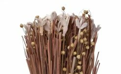 Trockenblumenbündel | Braun / Rot / Rosa -Accessoires Verkäufe 597361 2 202202011247