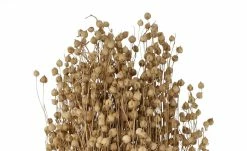 Trockenblumenbündel | Lein (Flachs) -Accessoires Verkäufe 597367 4 202207252313