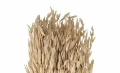 Trockenblumenbündel | Beige -Accessoires Verkäufe 597368 3 202202222232