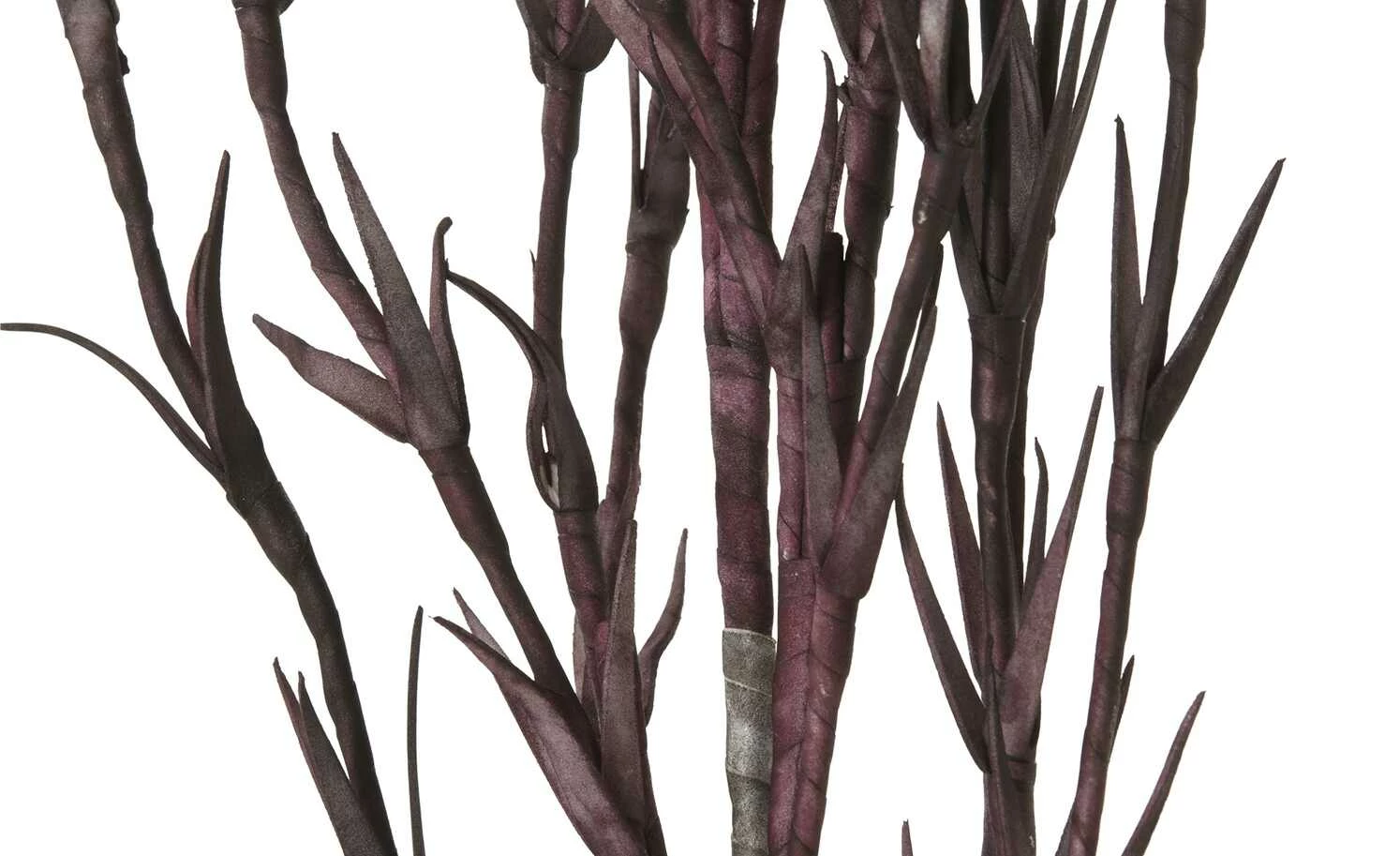 Soft Flower Korallenzweig | Dunkelviolett 2 Soft Flower Korallenzweig | Dunkelviolett – Bild 2