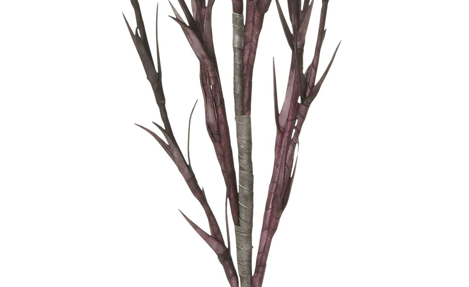 Soft Flower Korallenzweig | Dunkelviolett 3 Soft Flower Korallenzweig | Dunkelviolett – Bild 3