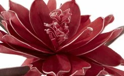 Soft Flower Kaktusblüte | Pink -Accessoires Verkäufe 597411 2 202110211246