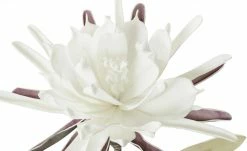 Soft Flower Kaktusblüte | Weiß -Accessoires Verkäufe 597414 3 202110211246