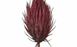 Soft Flower Distelzweig | Dunkelrot -Accessoires Verkäufe 597416 2 202111162234