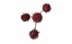 Soft Flower Distelzweig | Dunkelrot -Accessoires Verkäufe 597416 3 202111162234