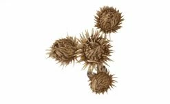 Soft Flower Distelzweig | Braun -Accessoires Verkäufe 597417 3 202110211246