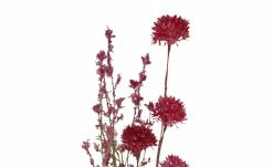 Blütenzweig Gänseblümchen -Accessoires Verkäufe 597536 1 202201201237