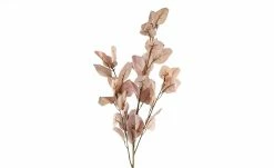 Eukalyptuszweig -Accessoires Verkäufe 597540 2 202203212232