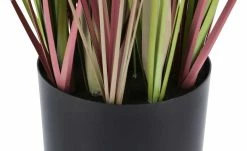 Pampasgras -Accessoires Verkäufe 597561 3 202204291233