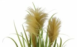 Pampasgras getopft -Accessoires Verkäufe 597562 2 202204291233