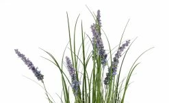 Grasbüschel mit Lavendelblüten 6 Grasbüschel mit Lavendelblüten -Accessoires Verkäufe 597563 3 202204291233