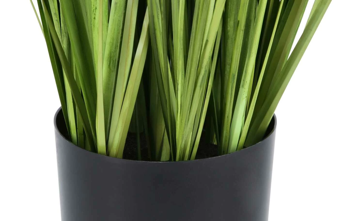 Grasbüschel mit Lavendelblüten 4 Grasbüschel mit Lavendelblüten – Bild 4