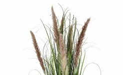 Pampasgras -Accessoires Verkäufe 597564 1 202204291233