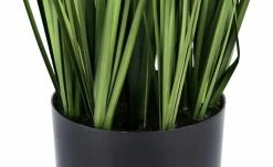 Pampasgras -Accessoires Verkäufe 597564 2 202204291233