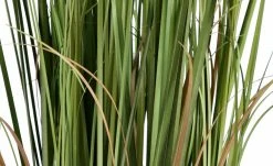 Grasbüschel getopft -Accessoires Verkäufe 597565 2 202204292232