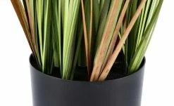 Grasbüschel getopft -Accessoires Verkäufe 597565 3 202204292232