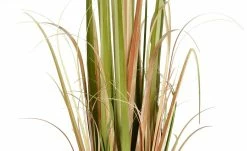 Grasbüschel getopft -Accessoires Verkäufe 597566 2 202204292232