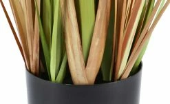 Grasbüschel getopft -Accessoires Verkäufe 597566 3 202204292232